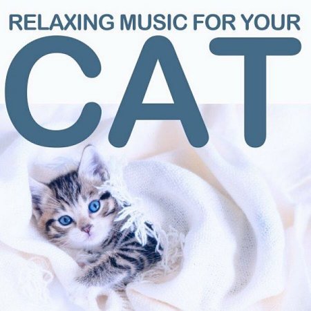 Обложка Relaxing Music for Your Cat (2022) Mp3