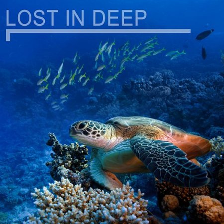 Обложка Lost in Deep (Mp3)