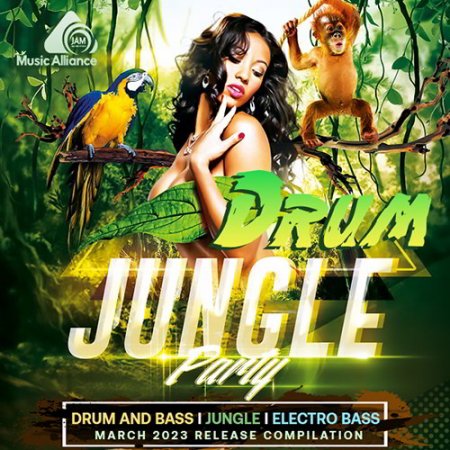 Обложка Drum Jungle Party (2023) Mp3