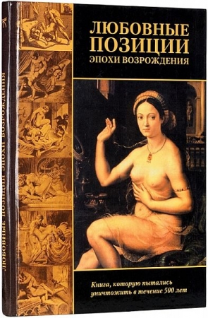 Обложка Любовные позиции эпохи Возрождения (Книга, которую пытались уничтожить в течение 500 лет) PDF