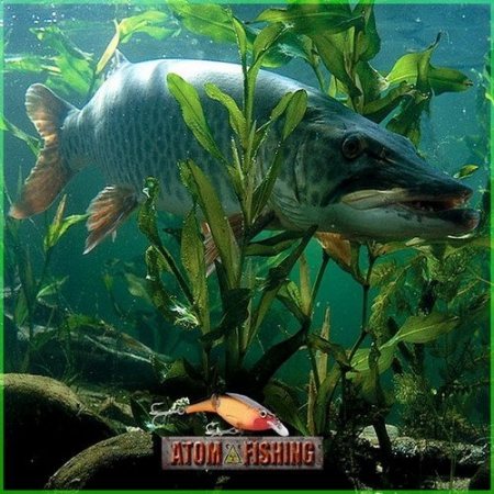 Обложка Атомная рыбалка: Древний лес (RUS/ENG/PC)